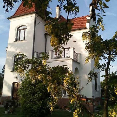 Villa Liduska S Kavarnou Бехине Экстерьер фото