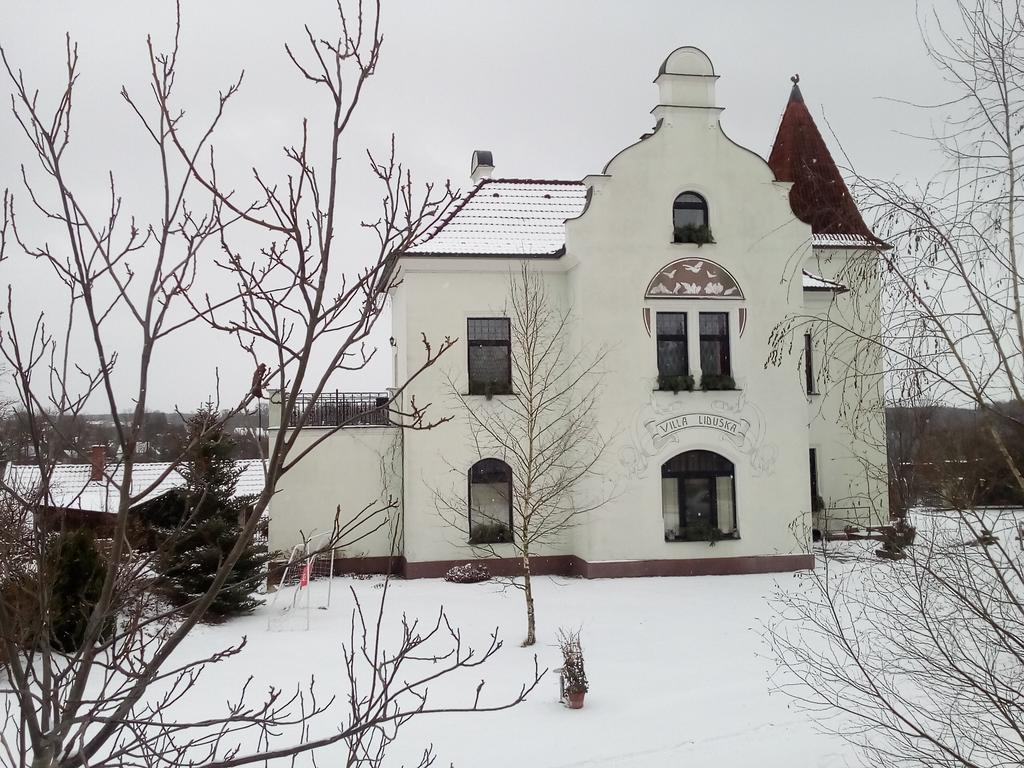 Villa Liduska S Kavarnou Бехине Экстерьер фото