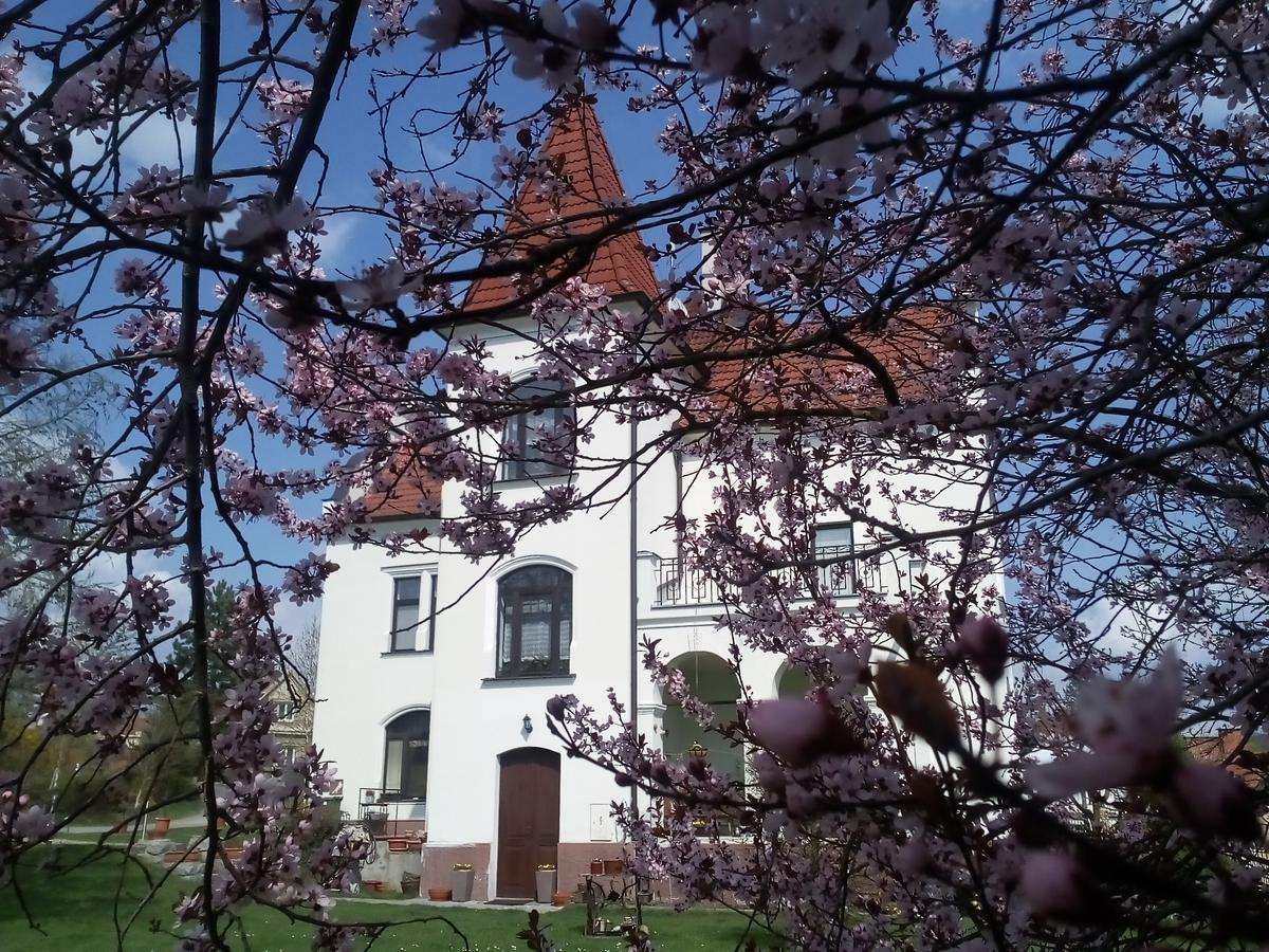Villa Liduska S Kavarnou Бехине Экстерьер фото