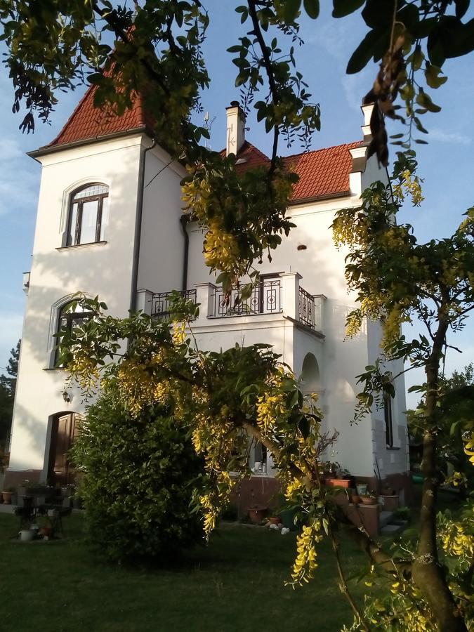 Villa Liduska S Kavarnou Бехине Экстерьер фото